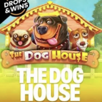 THE DOG HOUSE