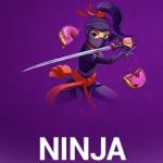 NINJA CRASH 500